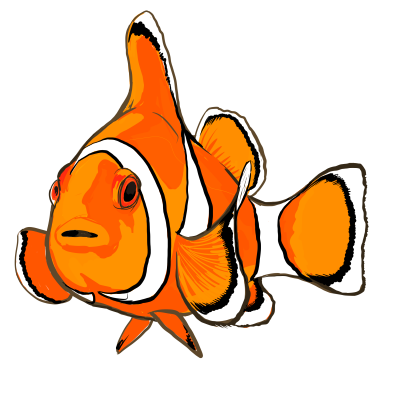 ろしくお】 カクレクマノミ 魚 海水魚 色鉛筆 絵 絵画 原画 水族館